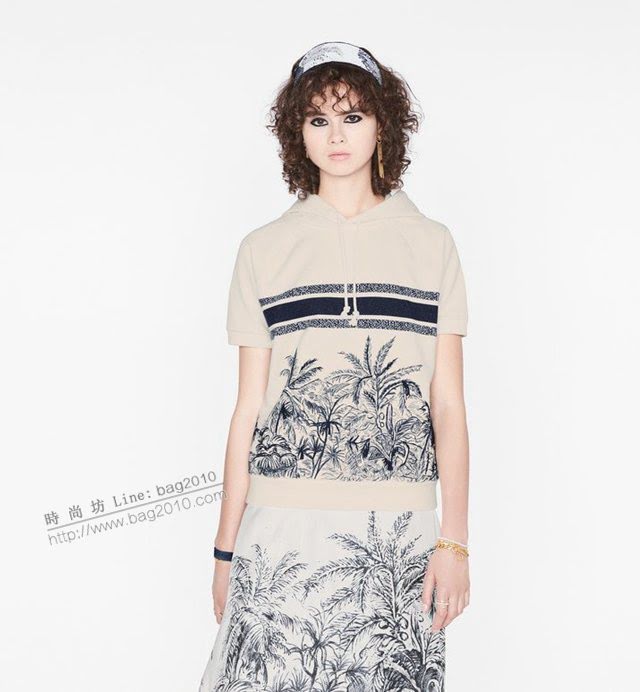 Dior飾品 2021新款DIOR迪奧字母耳釘耳環  zgd1199